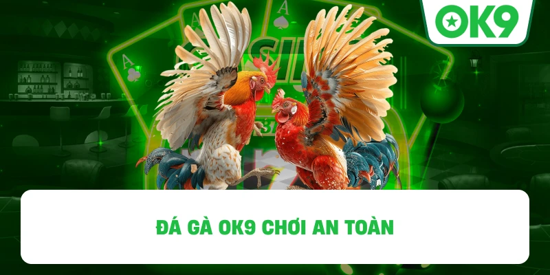 Đá Gà OK9 chơi an toàn