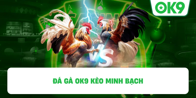 Đá Gà OK9 kèo minh bạch