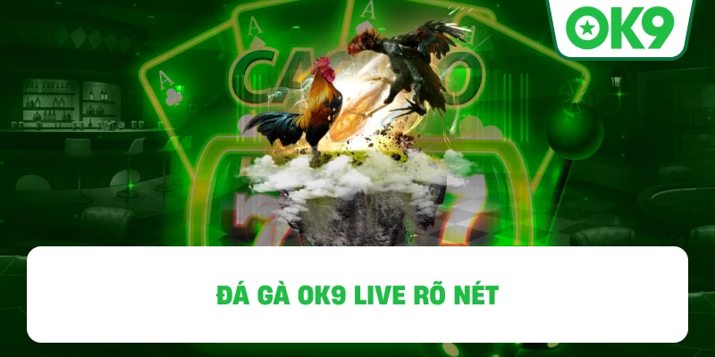Đá Gà OK9 live rõ nét