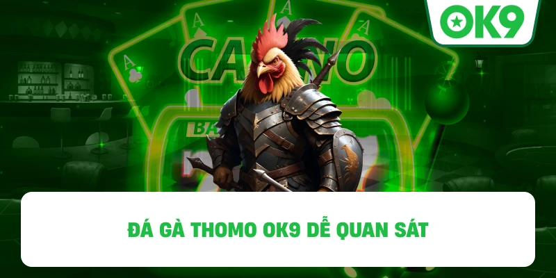Đá Gà Thomo OK9 dễ quan sát