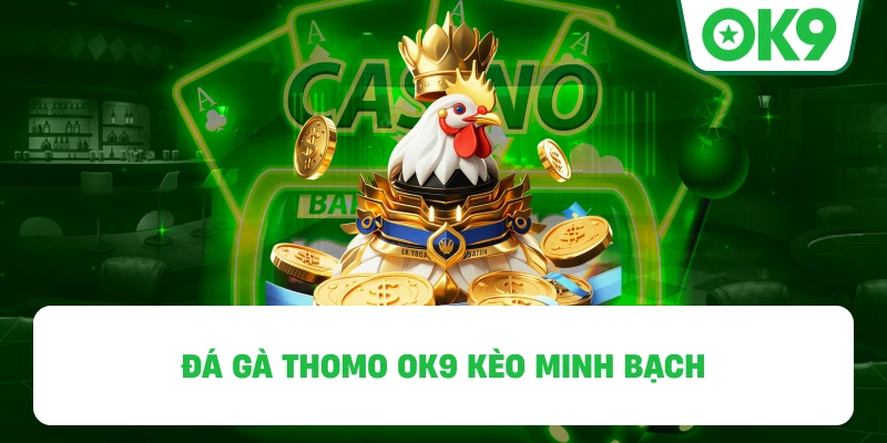 Đá Gà Thomo OK9 kèo minh bạch