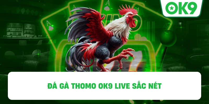 Đá Gà Thomo OK9 live sắc nét