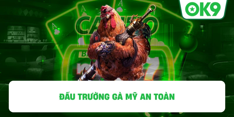 Chọi kê cựa sắt OK9 an toàn