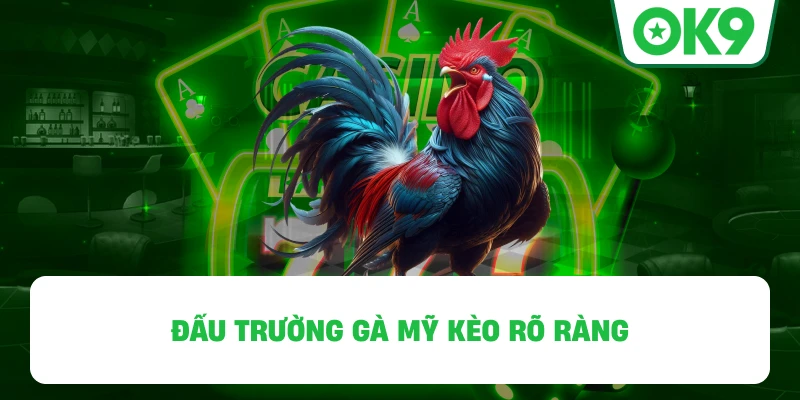 Chọi kê cựa sắt OK9 kèo rõ