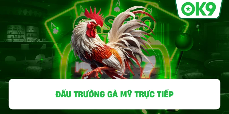 Chọi kê cựa sắt OK9 trực tiếp