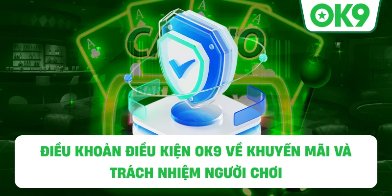 Điều Khoản Điều Kiện OK9 về khuyến mãi và trách nhiệm người chơi