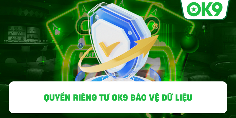 Quyền Riêng Tư OK9 bảo vệ dữ liệu