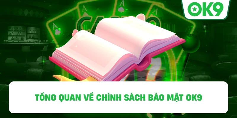Tổng quan về Chính Sách Bảo Mật OK9