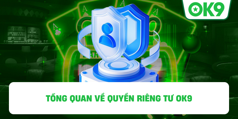 Tổng quan về Quyền Riêng Tư OK9